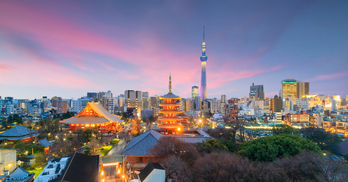 Narita Airport to Tokyo City Center Private Transfer