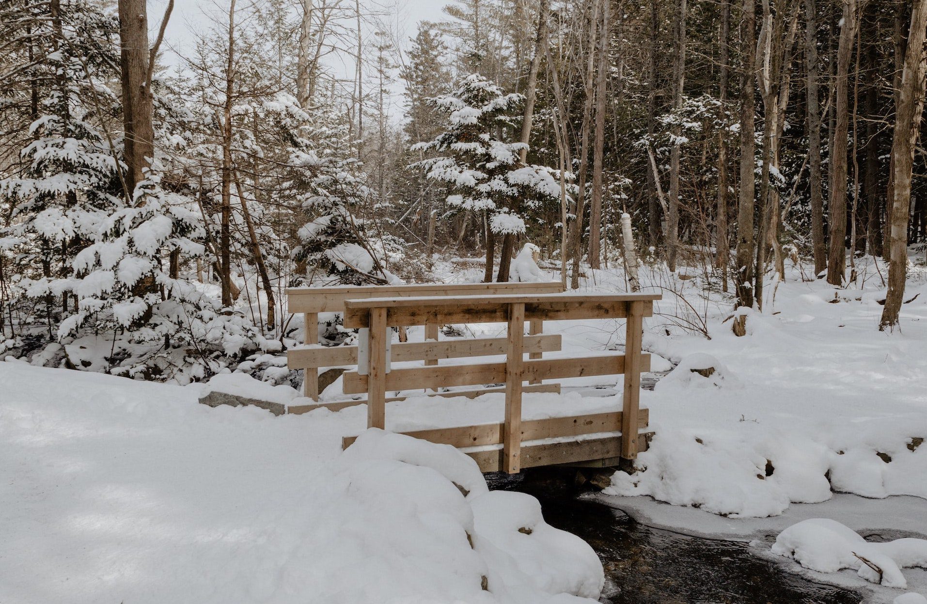 Transfer Options from Halifax Airport to Dartmouth