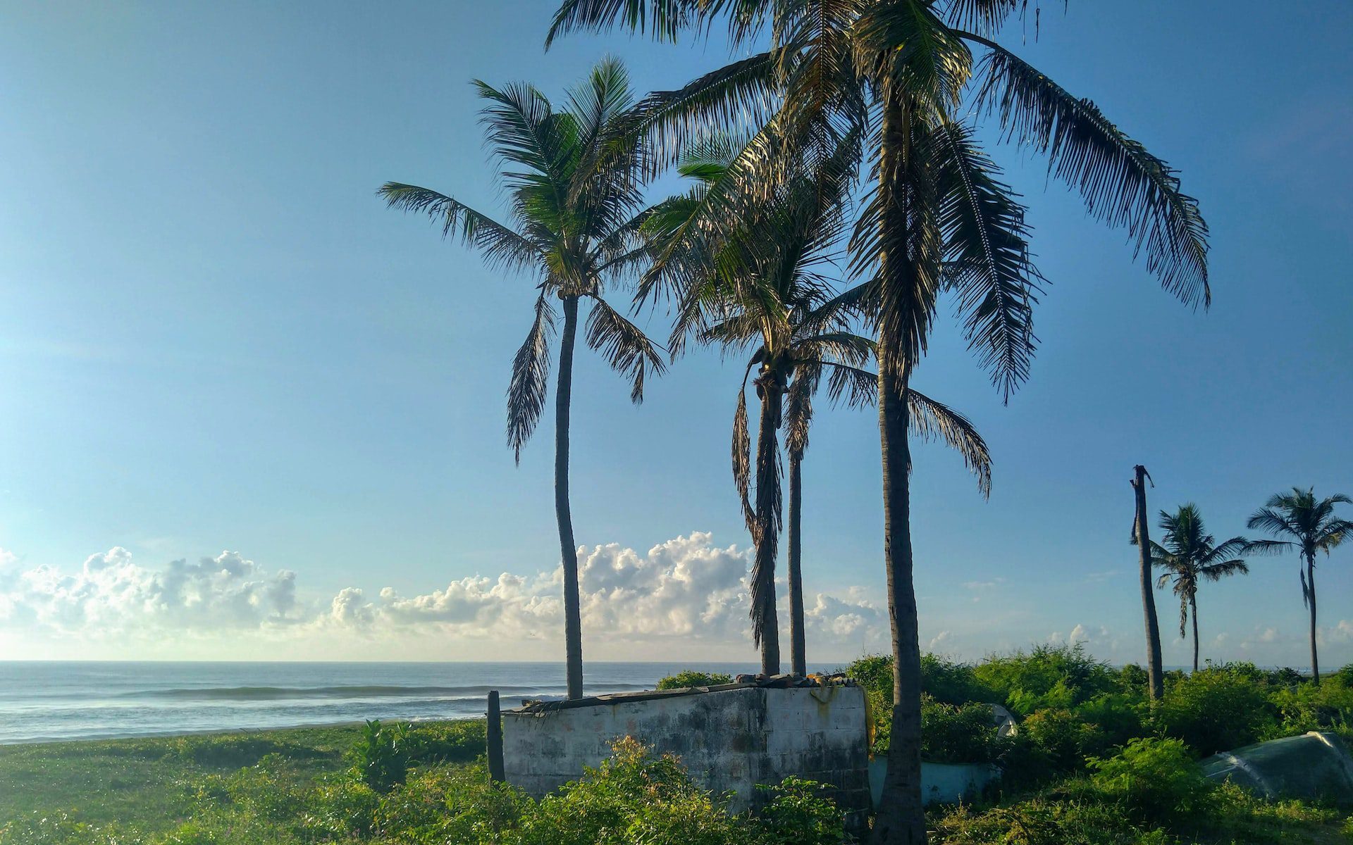 Chennai Airport Taxis and Transfers Book Online