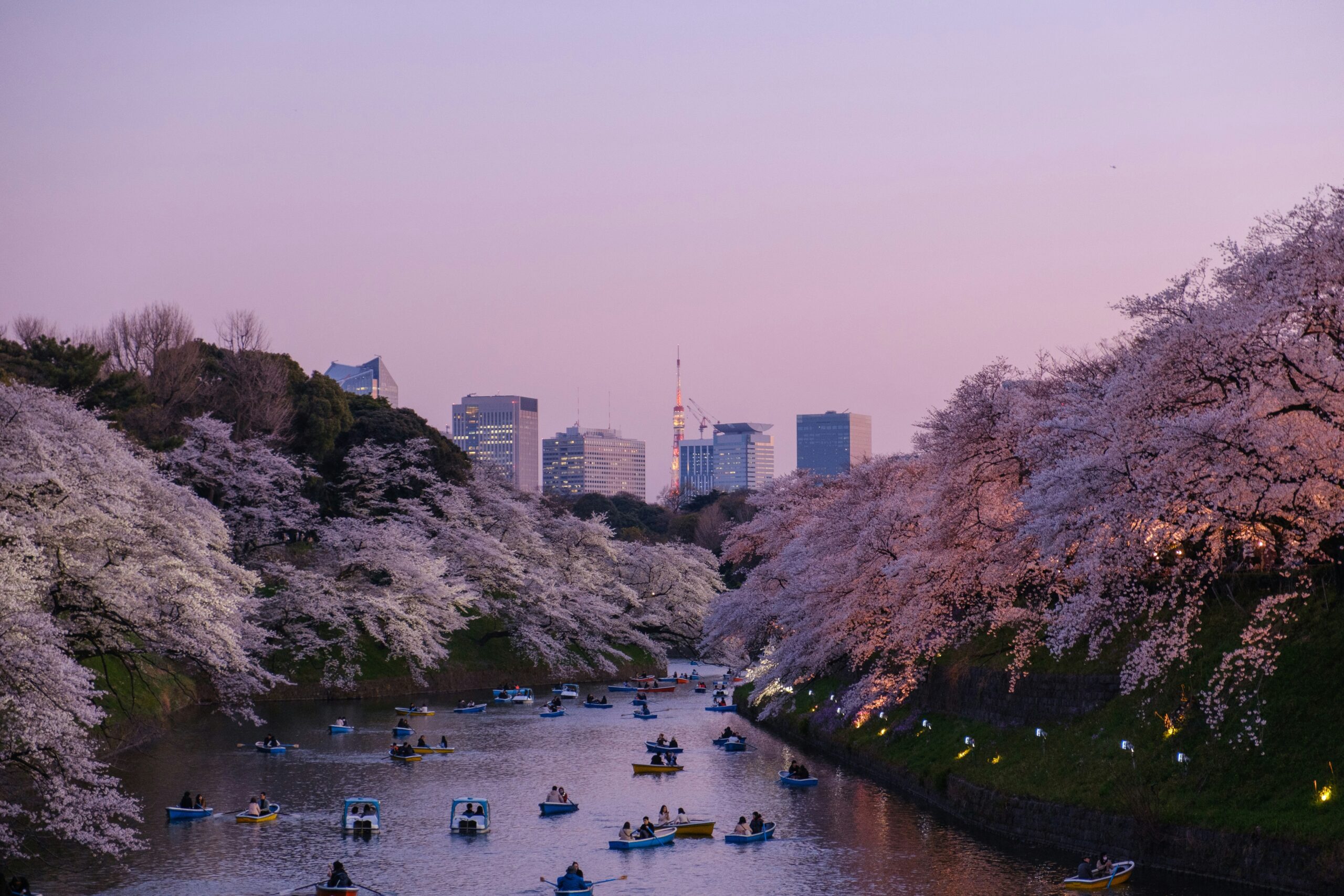 Haneda Airport to Tokyo City Center Private Transfer